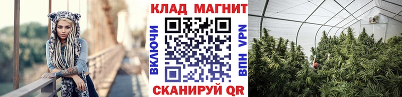APVP Пущино