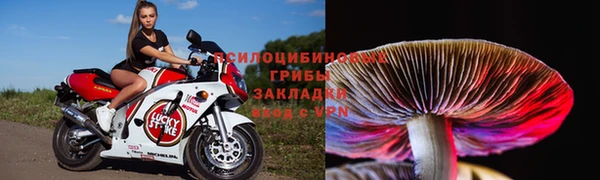 крисы Алзамай