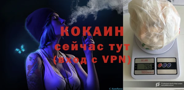 a pvp Аркадак
