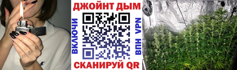 Конопля индика Пущино